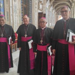 photo1666270021 1 - Diocese de Guaxupé PAPA FRANCISCO RECEBE BISPOS DE MINAS GERAIS E ESPÍRITO SANTO