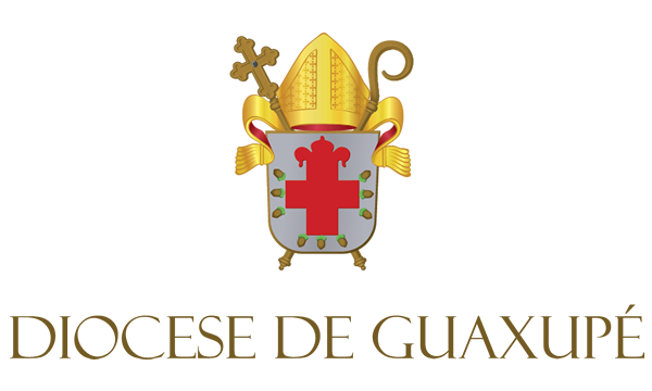 600 h - Diocese de Guaxupé Identidade Visual